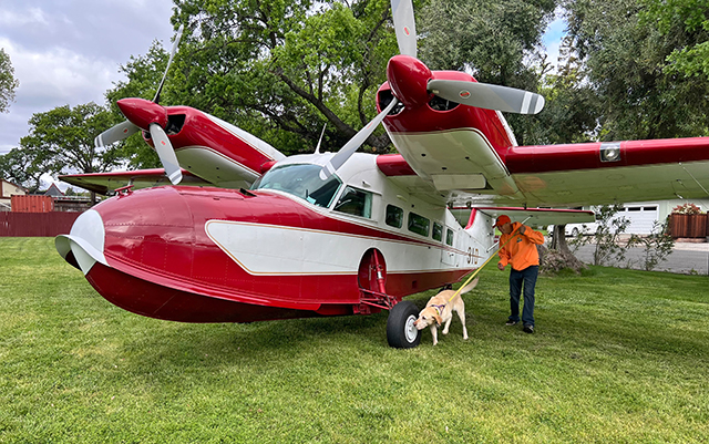 Mussel Dogs Seaplanes